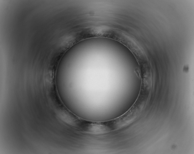 X0000102830605200808181326