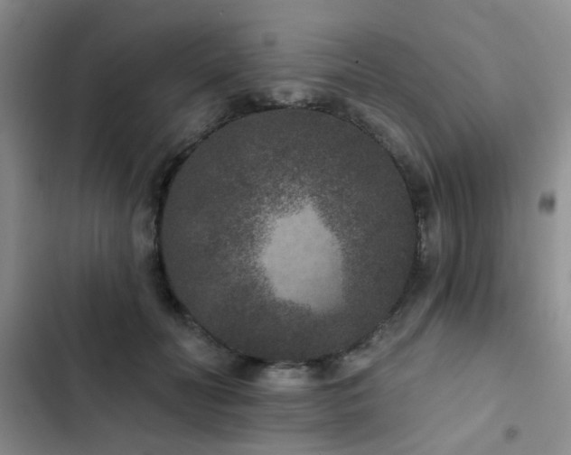 X0000102830606200808181326