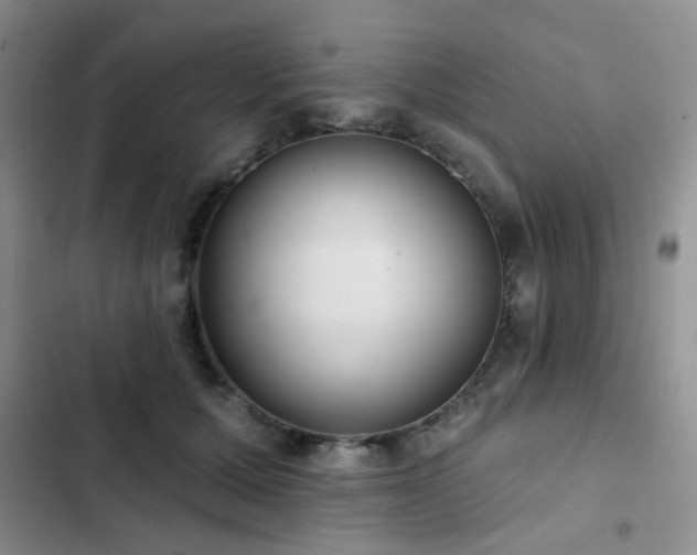 X0000102830607200808181326