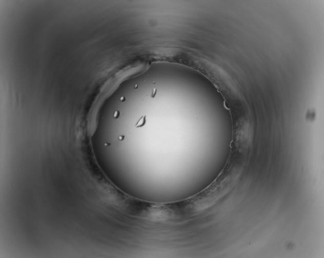 X0000102830608200808181326