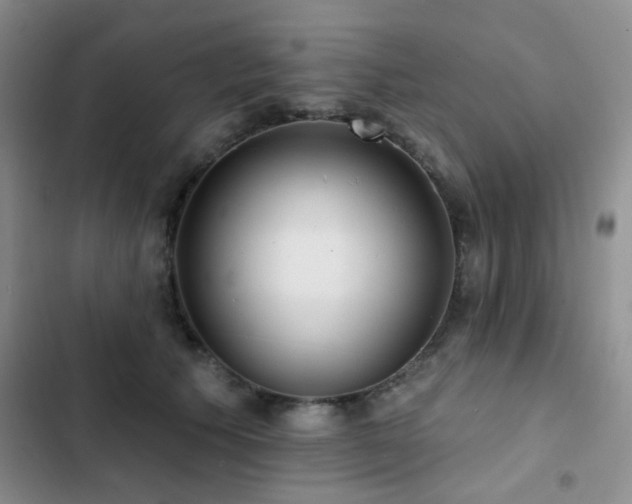 X0000102830609200808181326