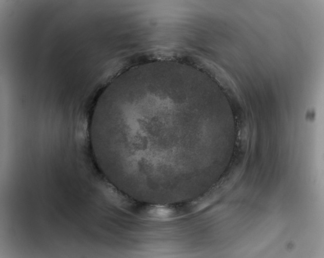 X0000102830610200808181326