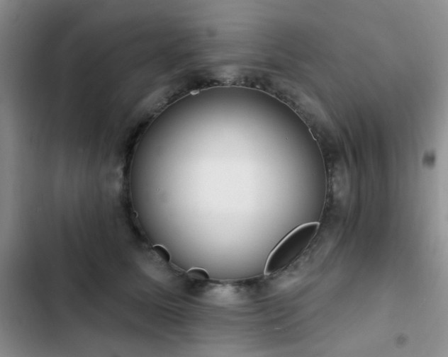 X0000102830611200808181326