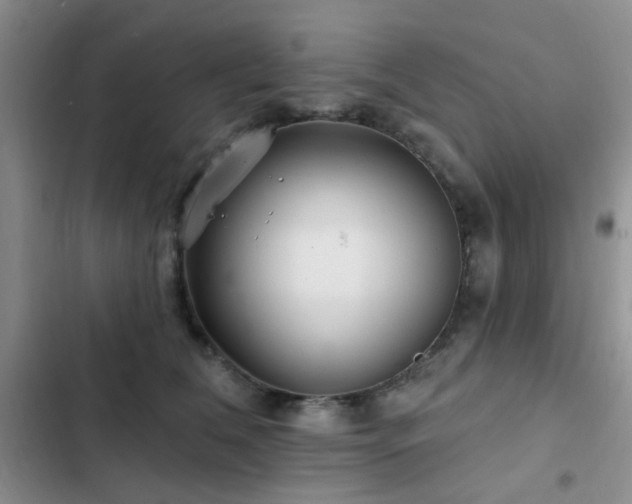 X0000102830612200808181326