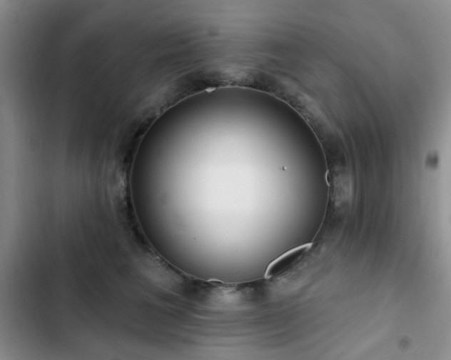 X0000102830613200808181326