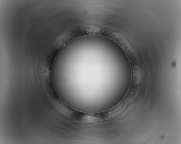 X0000102830614200808181326