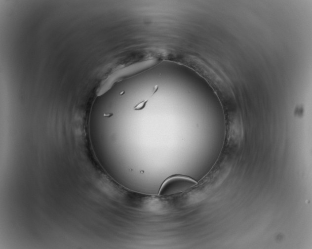 X0000102830616200808181325