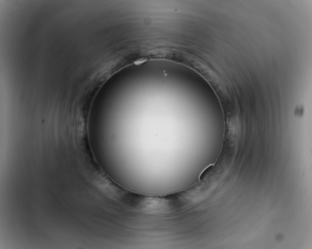 X0000102830617200808181325