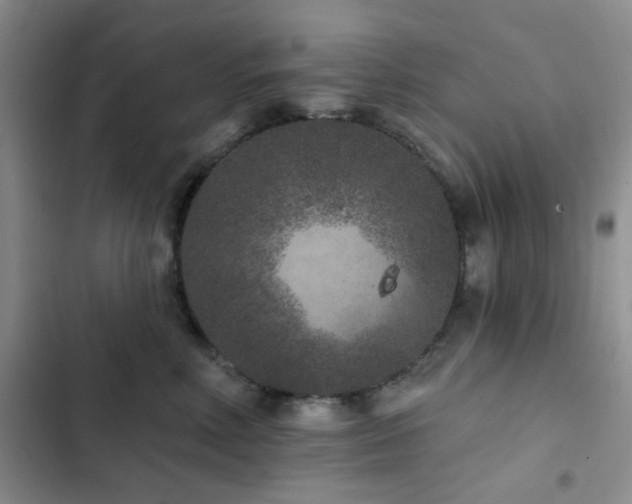 X0000102830618200808181325