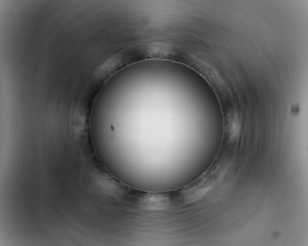 X0000102830619200808181325