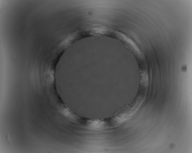 X0000102830621200808181325