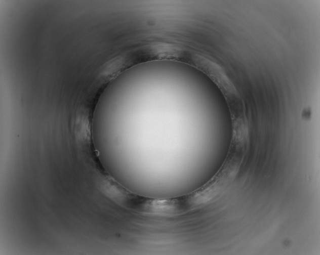 X0000102830622200808181325