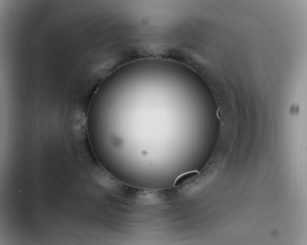 X0000102830624200808181325