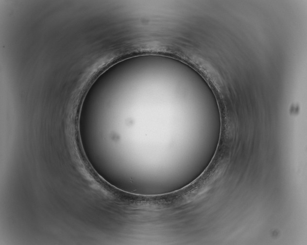 X0000102830625200808181325