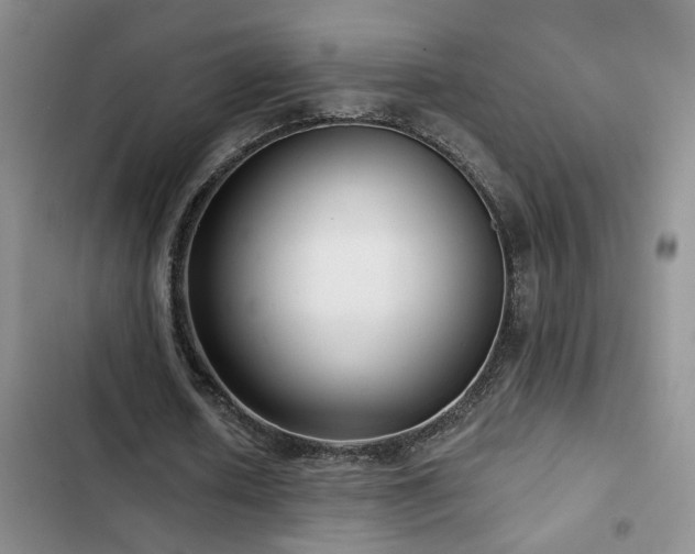 X0000102830626200808181325