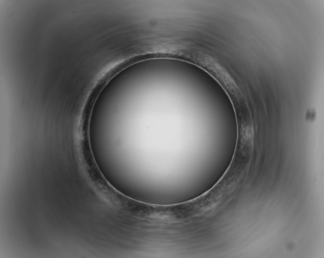 X0000102830628200808181325