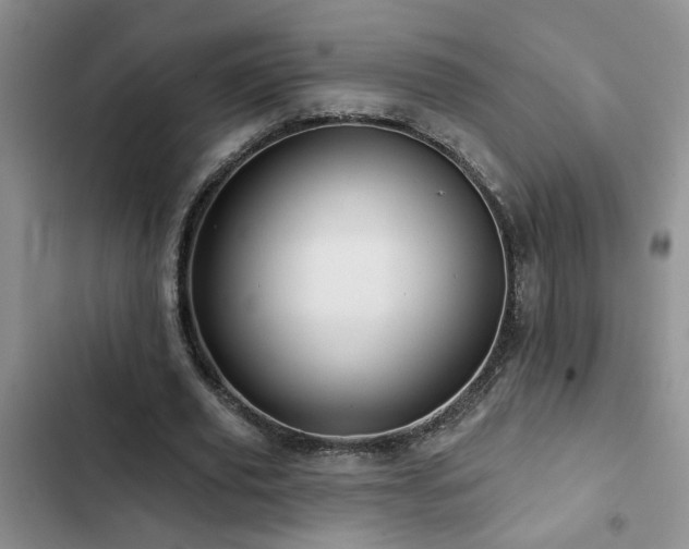 X0000102830629200808181325