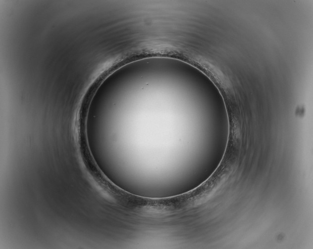 X0000102830630200808181325