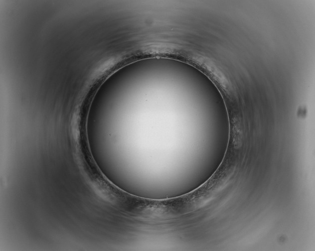 X0000102830631200808181325