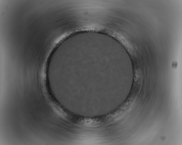 X0000102830632200808181325