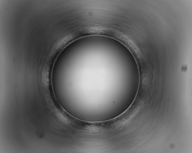 X0000102830633200808181325