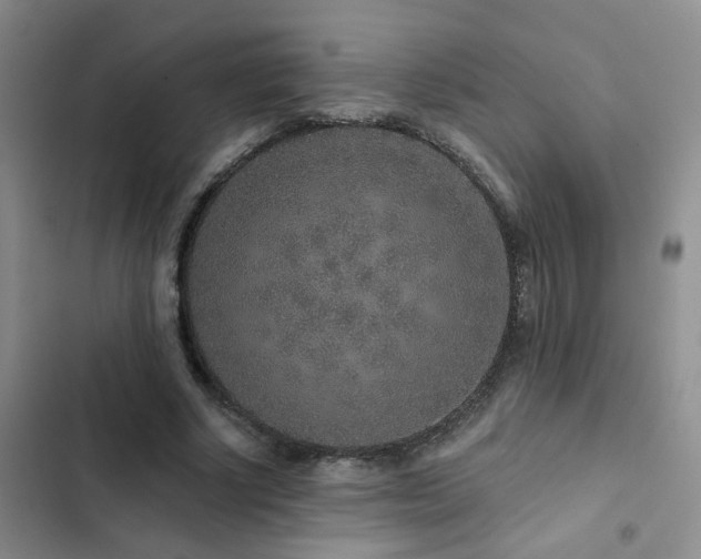 X0000102830634200808181325