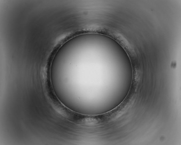 X0000102830636200808181325