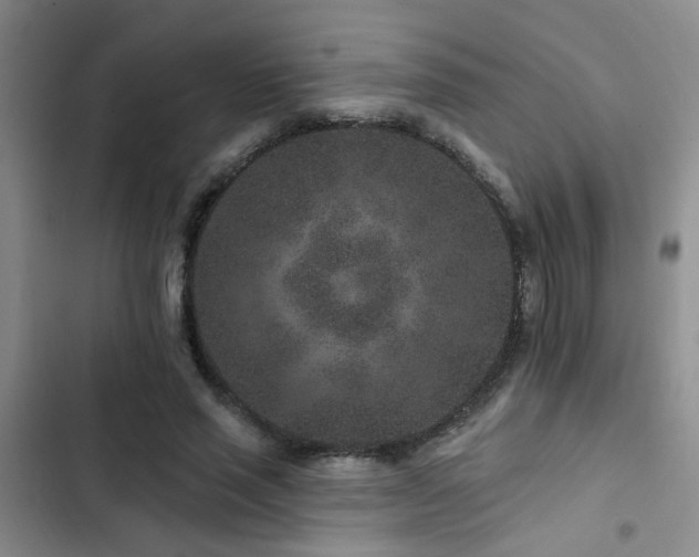 X0000102830637200808181325