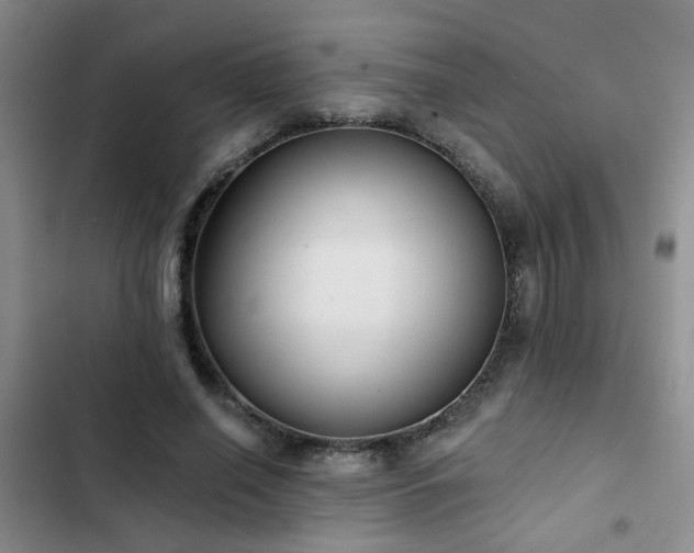 X0000102830638200808181325