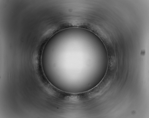 X0000102830639200808181325