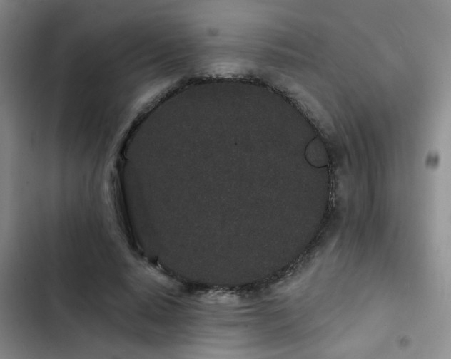 X0000102830640200808181325