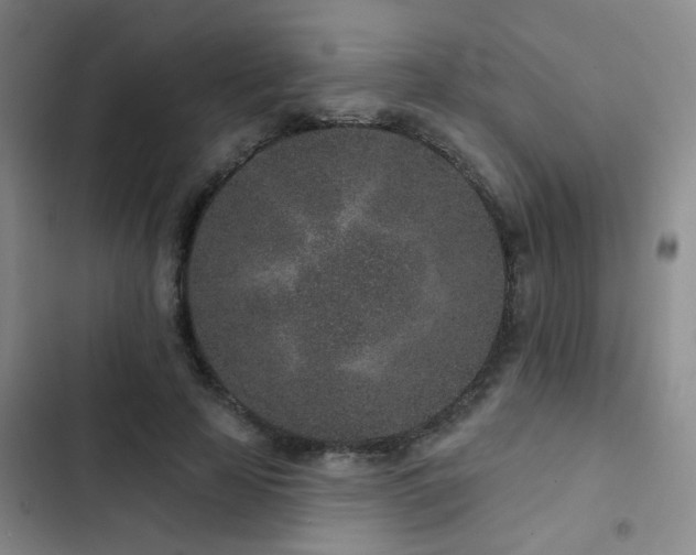 X0000102830641200808181325