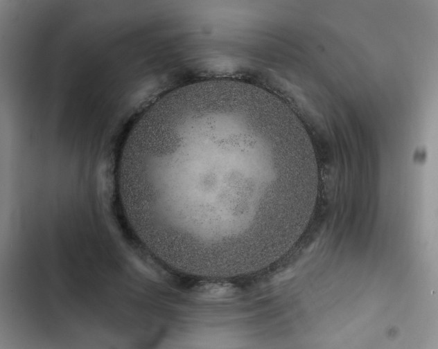 X0000102830642200808181325