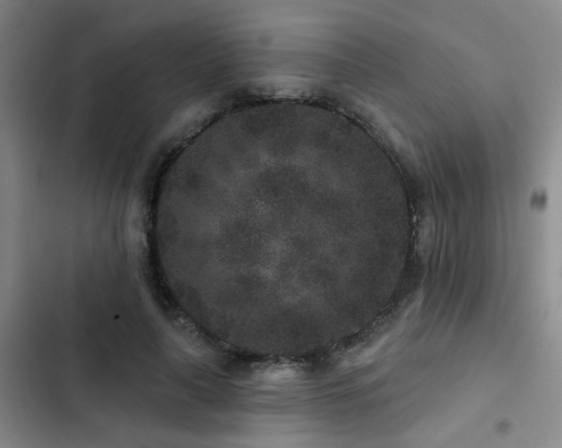 X0000102830643200808181325