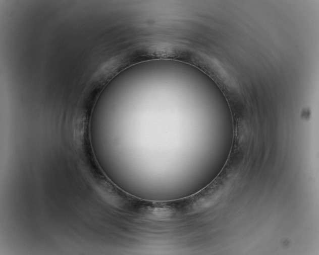 X0000102830645200808181325