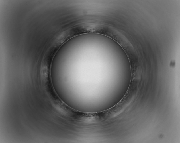 X0000102830646200808181325