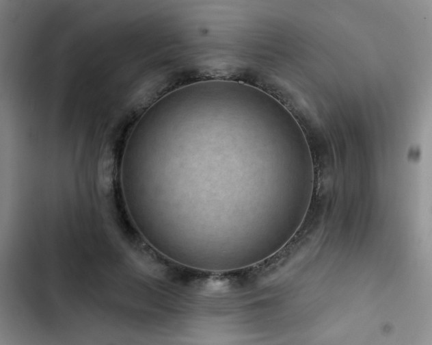 X0000102830647200808181325