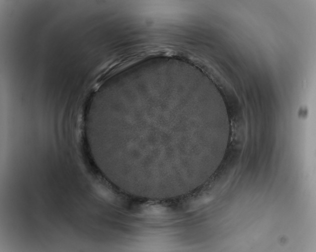 X0000102830648200808181325