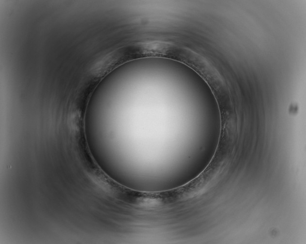 X0000102830649200808181325