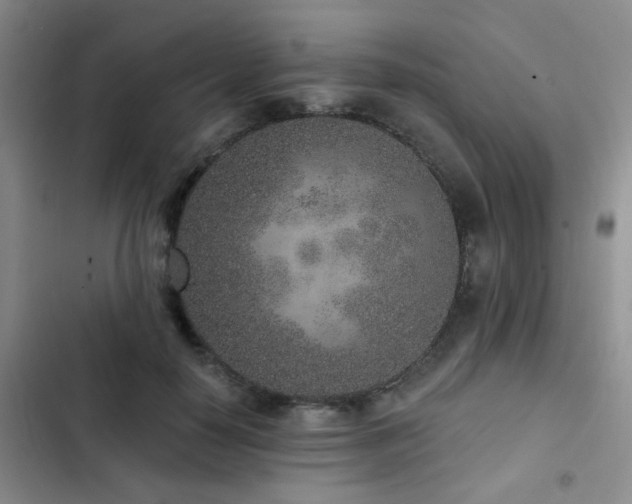 X0000102830650200808181325