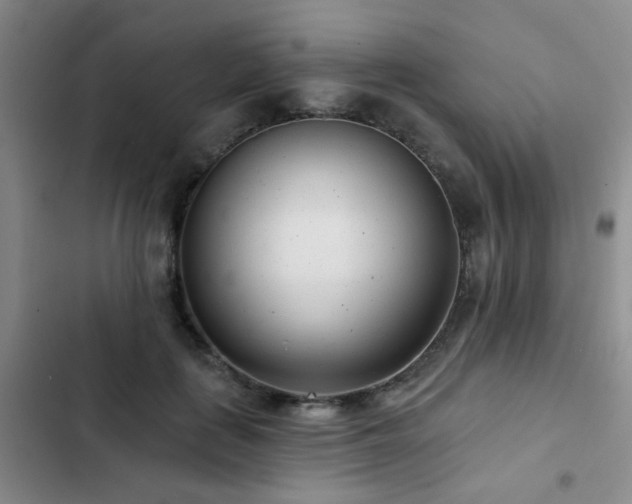 X0000102830651200808181325