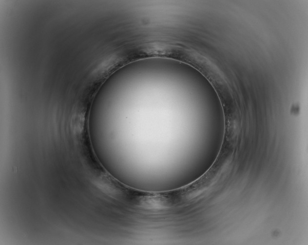 X0000102830652200808181325