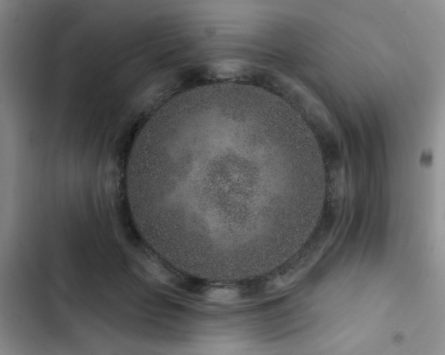 X0000102830653200808181325