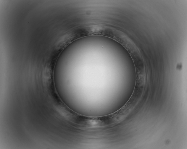 X0000102830654200808181325