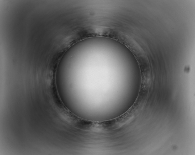 X0000102830656200808181325