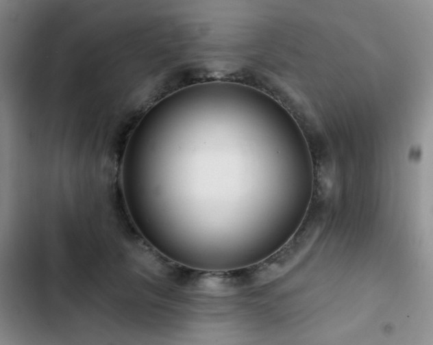 X0000102830657200808181325