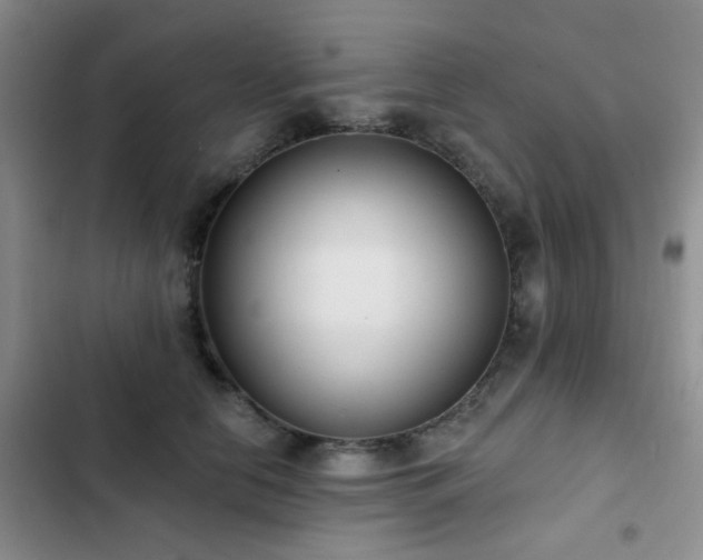 X0000102830658200808181325