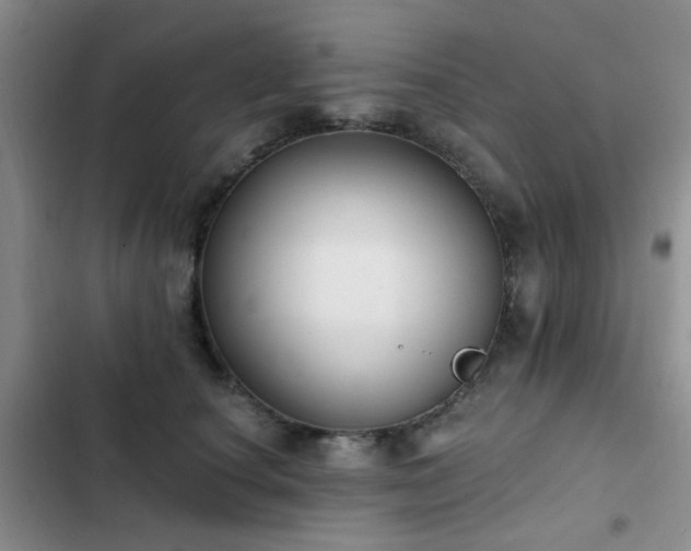 X0000102830660200808181325