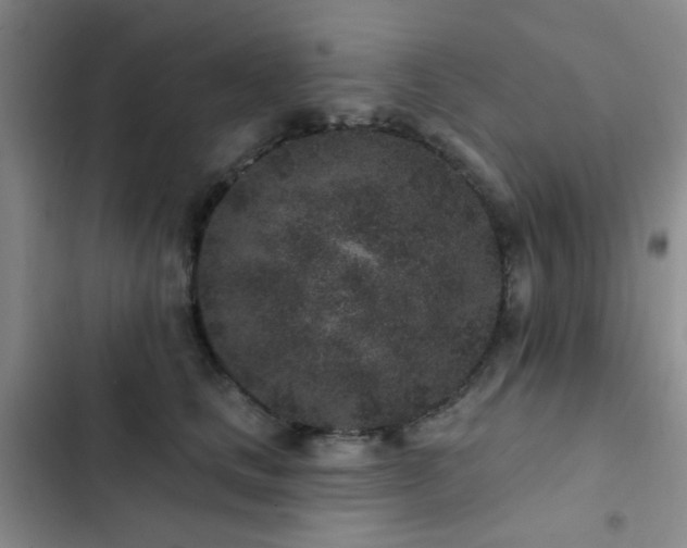 X0000102830661200808181325