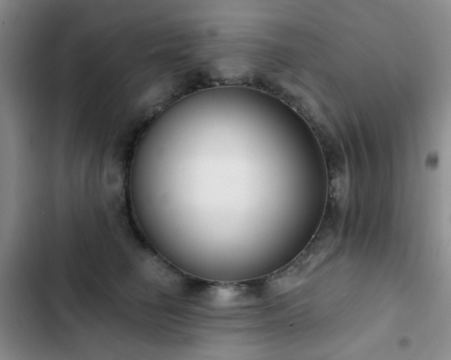 X0000102830662200808181325